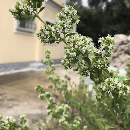 Mariza's View House * Λάκωνες