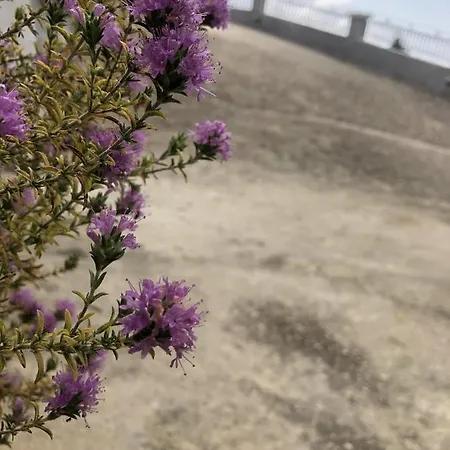 Apartament Mariza's View House